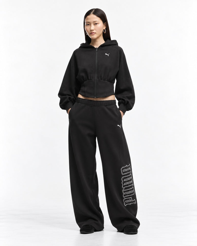 Puma TS