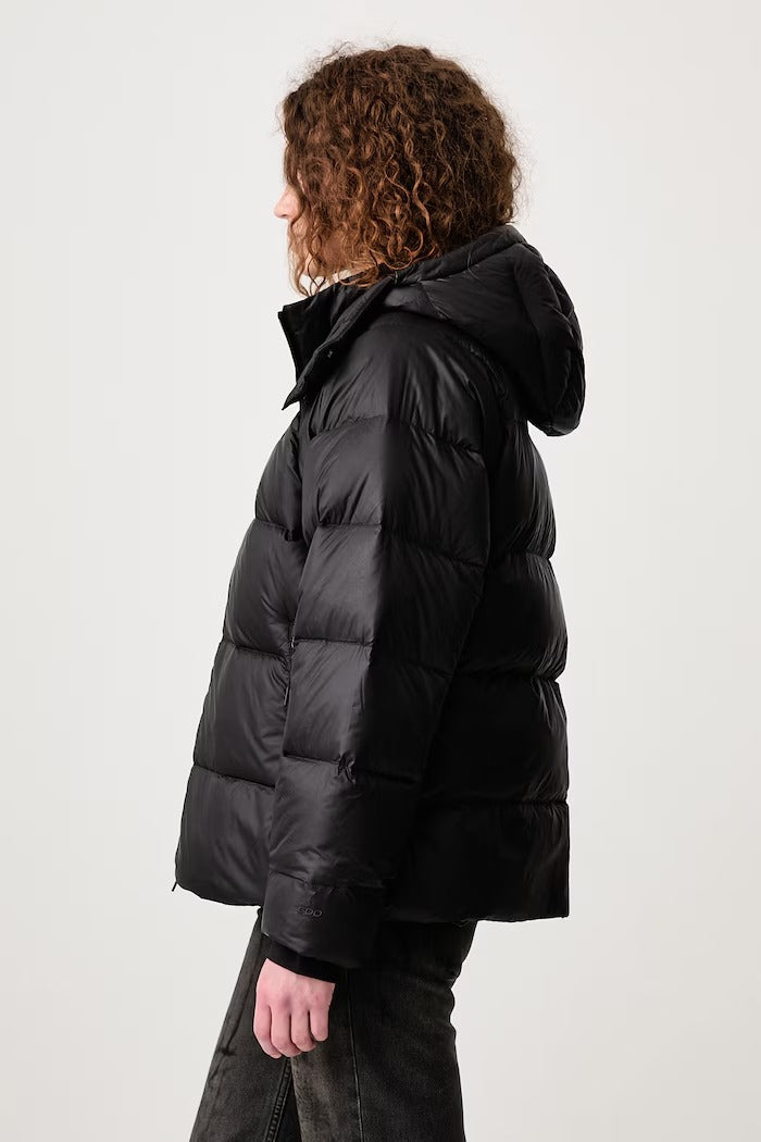 TNF Jacket NF0A8D3J JK31 THE NORTH FACE 