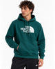 TNF Hoodie