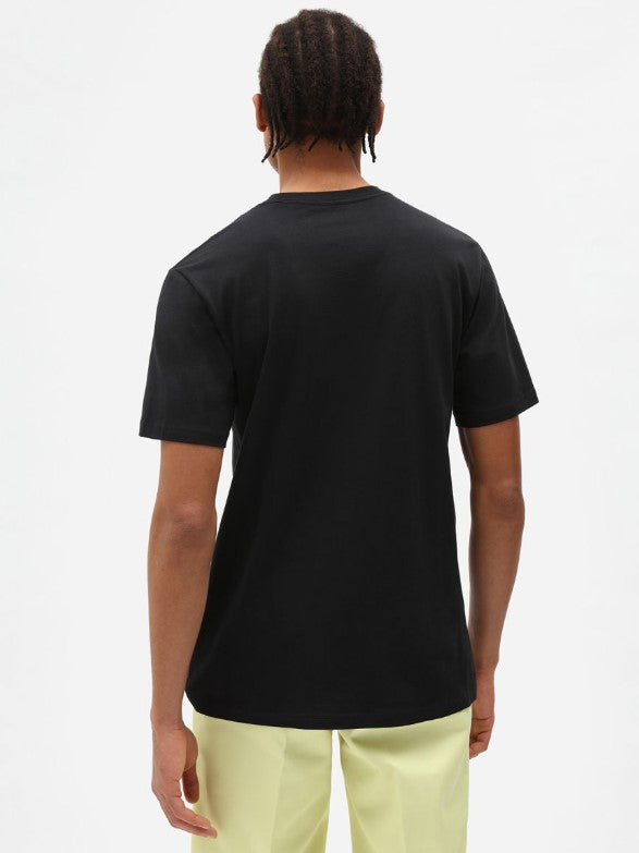 DICKIES DK0A4XDBBLK1