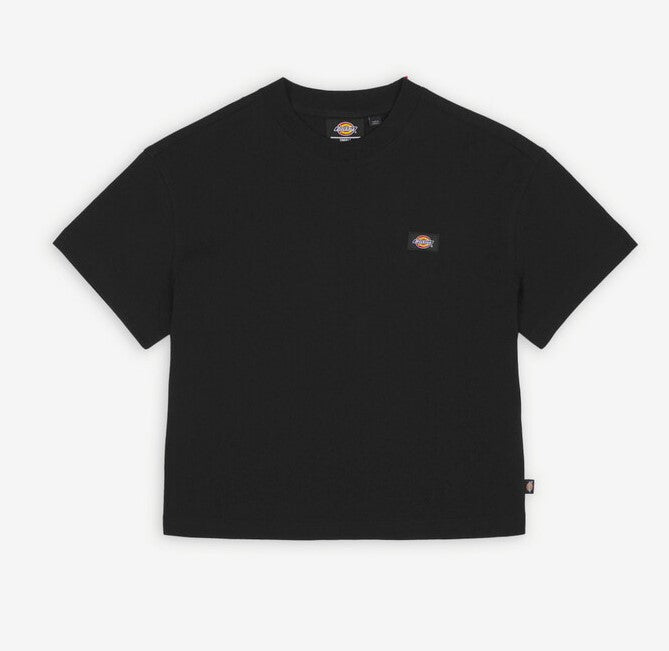 DICKIES DK0A4Y8LBLK