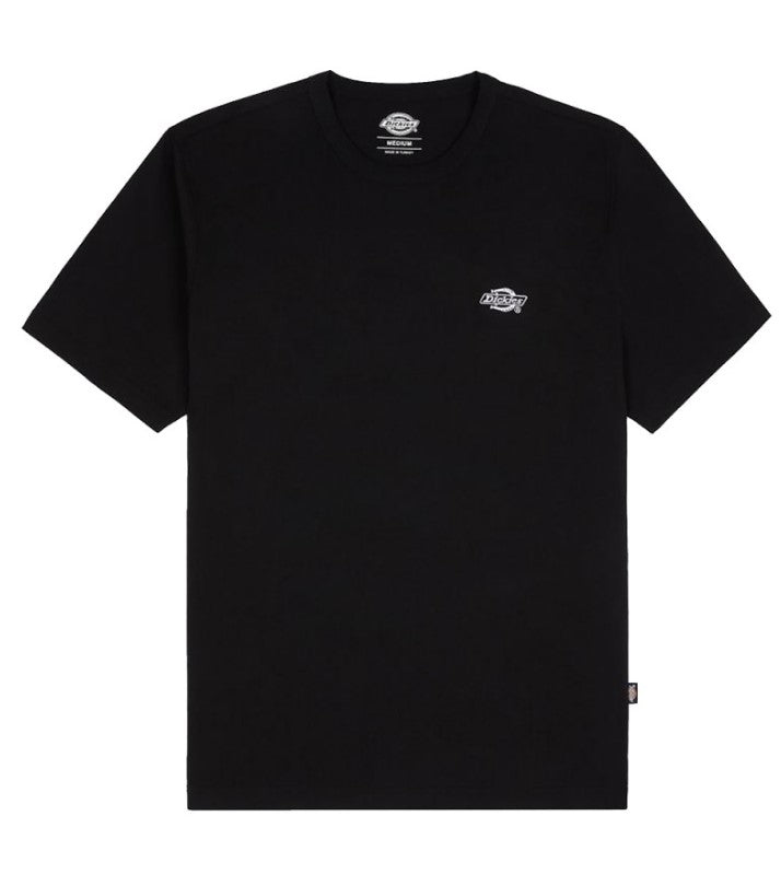 DICKIES DK0A4YAIBLK1