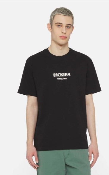 DICKIES DK0A4YRLBLK1