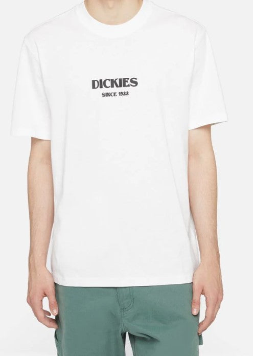 DICKIES DK0A4YRLWHX1