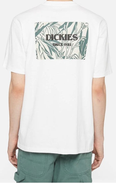 DICKIES DK0A4YRLWHX1