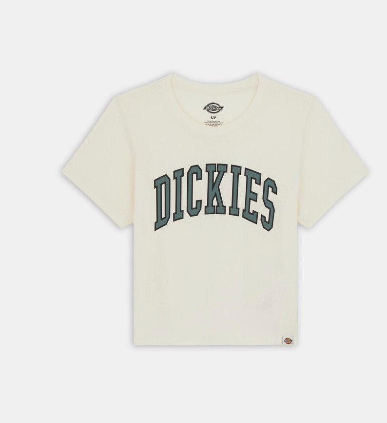 DICKIES DK0A4YS8C581