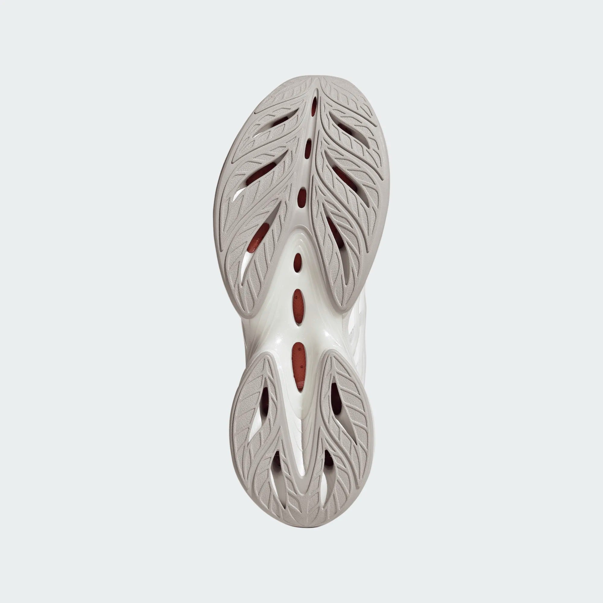 Climacool SPW HQ4985 UNI ADIDAS 