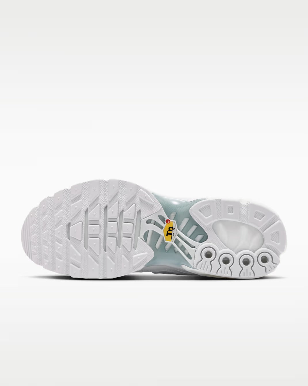 Nike Air Max Plus DM2362 100 NIKE 