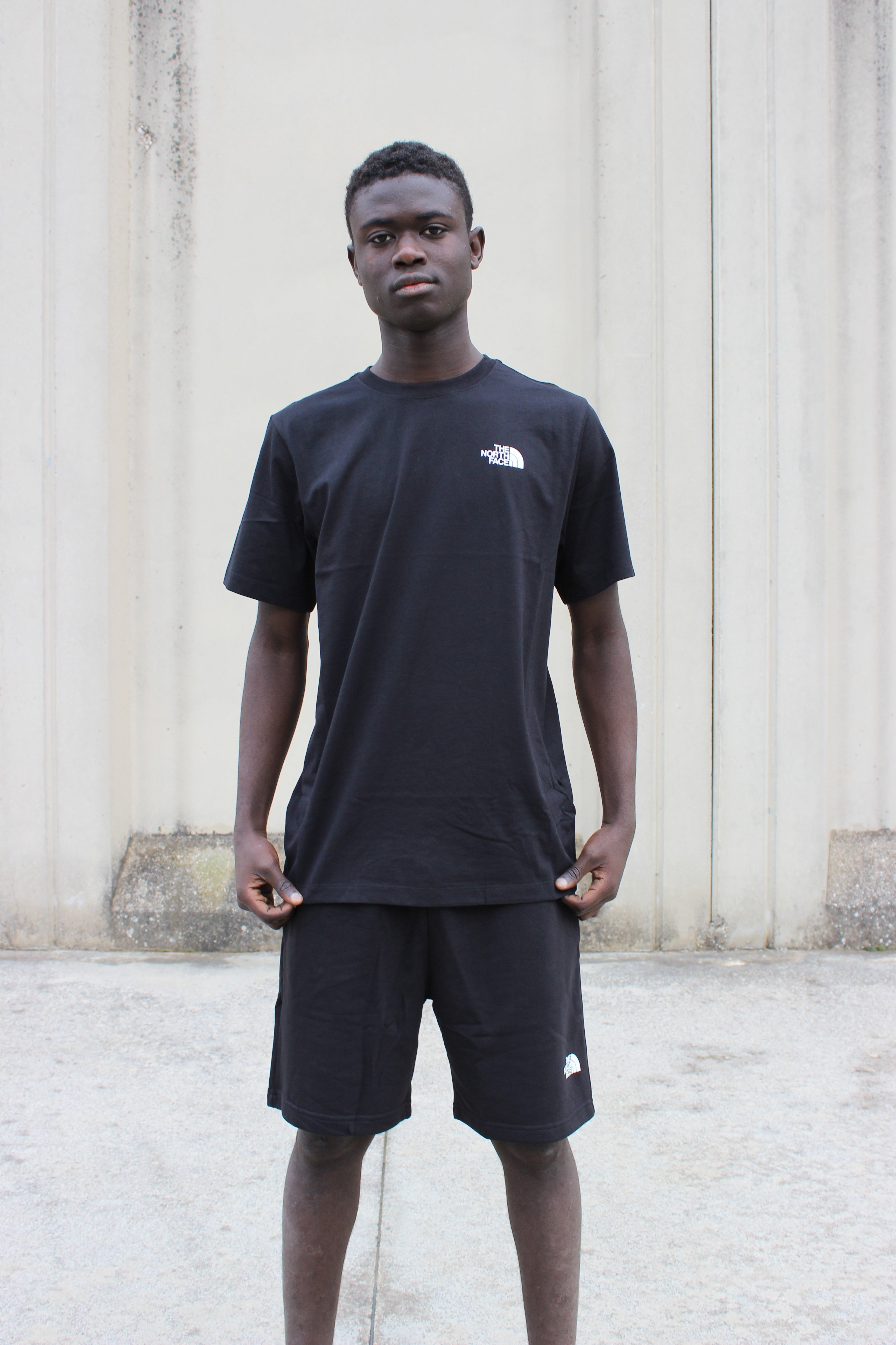 Vertical Regular Short Sleeve Tee-Grap NF0A8GV1 JK31 THE NORTH FACE 