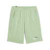 ess 2 col shorts 10