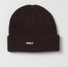 Future Beanie