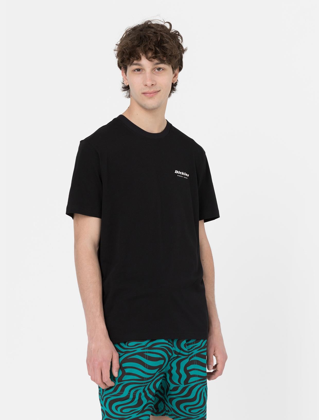 LEESBURG BOX TEE SS <BR/> DK0A4Y8Q BLK1 DICKIES 