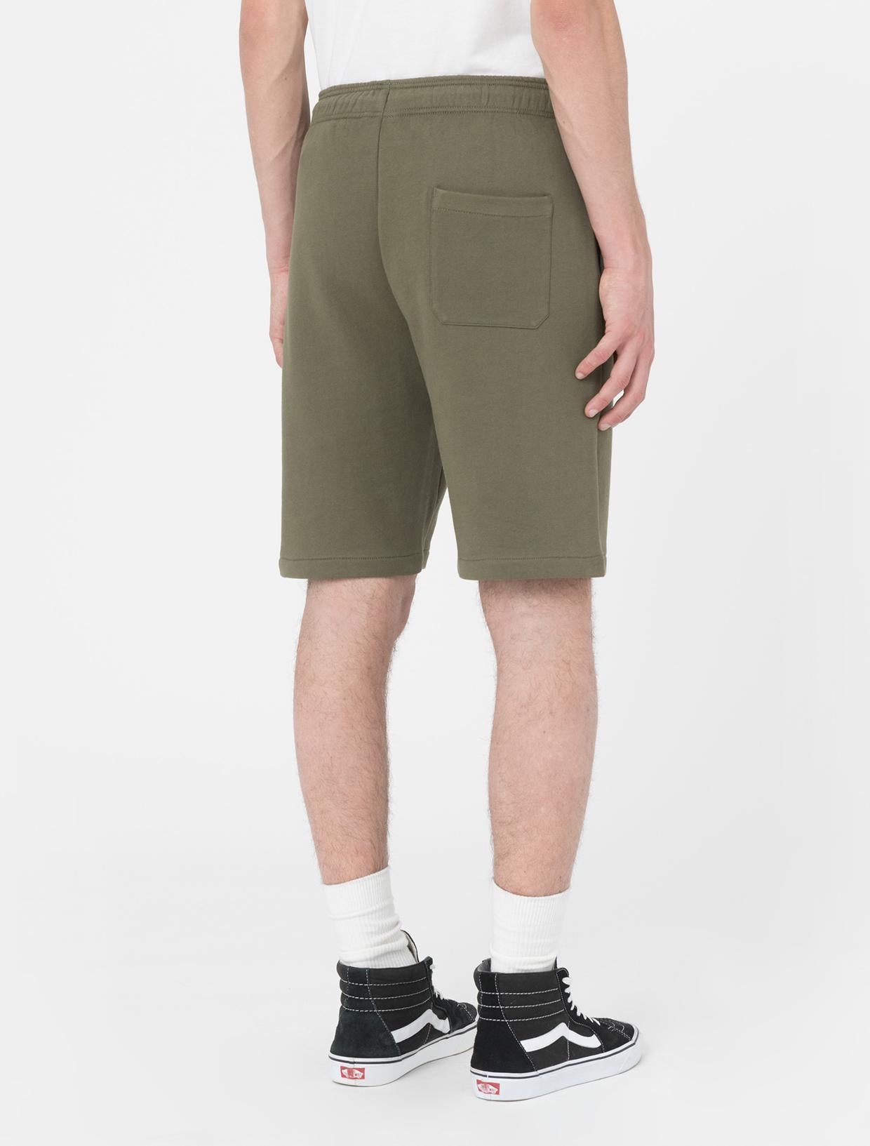MAPLETON SHORT DK0A4Y83 MGR1 DICKIES 