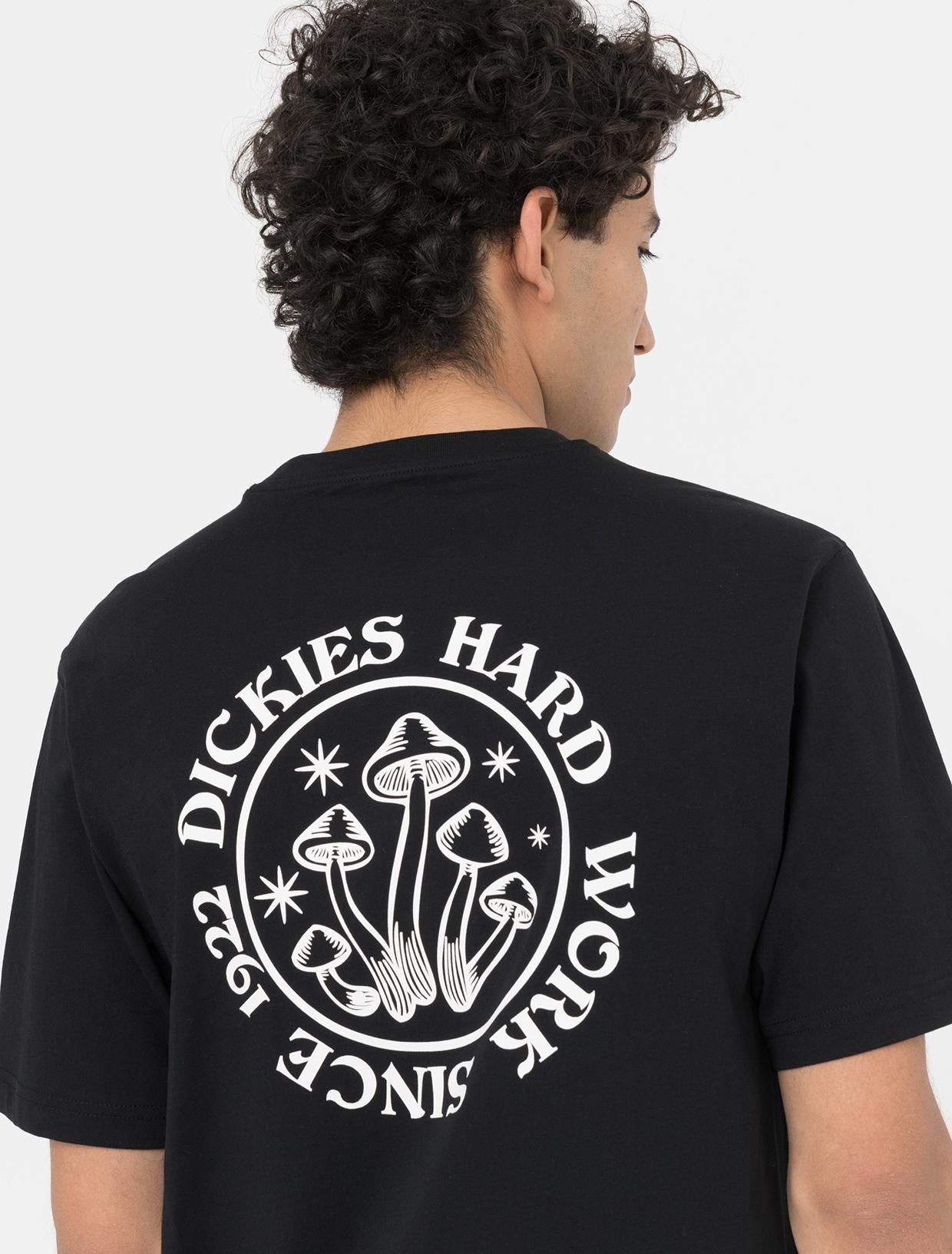 BAYSIDE GARDENS TEE DK0A4YBS BLK1 DICKIES 