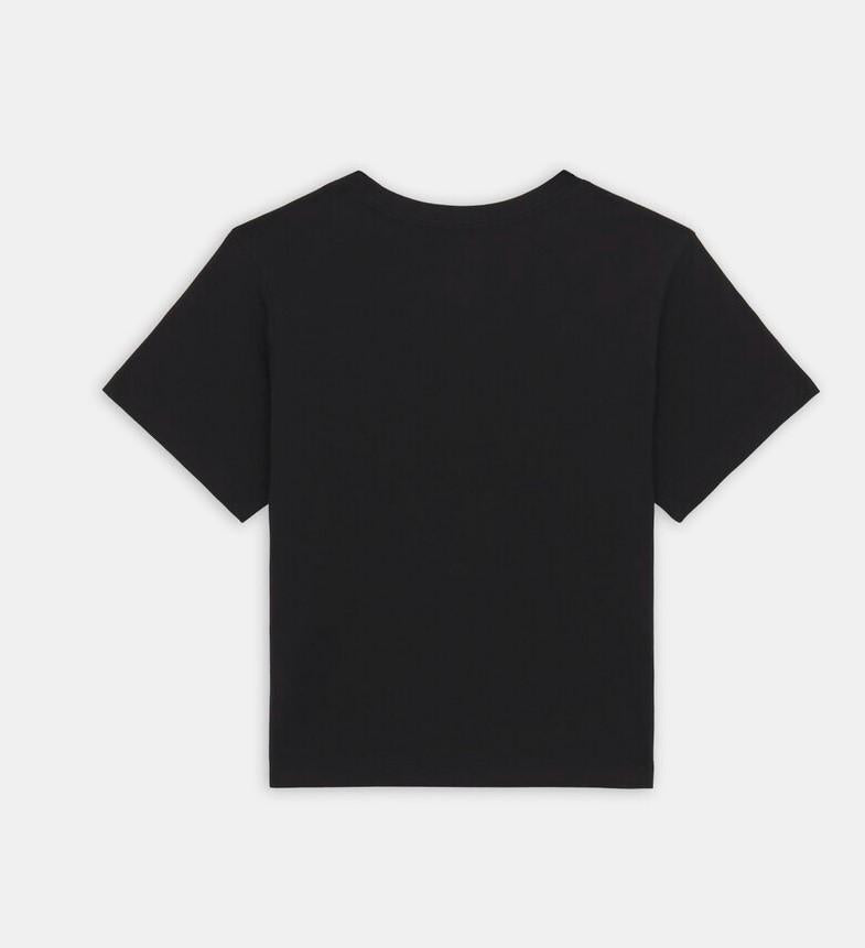 Aitkin Tee DK0A4YS8 BLK1 DICKIES 