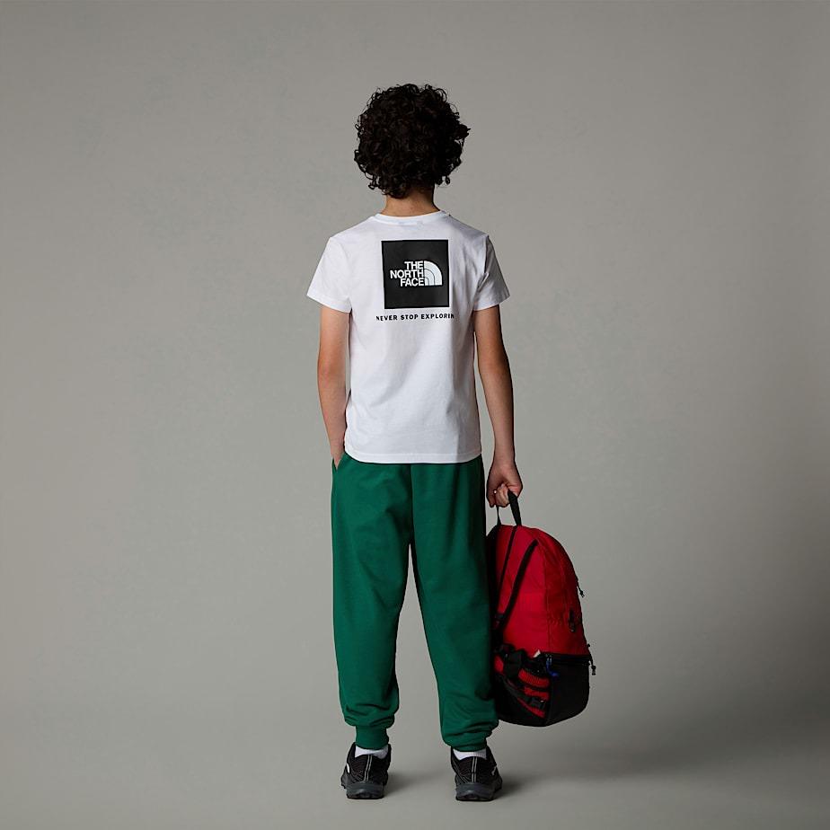 Boys Box Nse NF0A89VT FN41 THE NORTH FACE 
