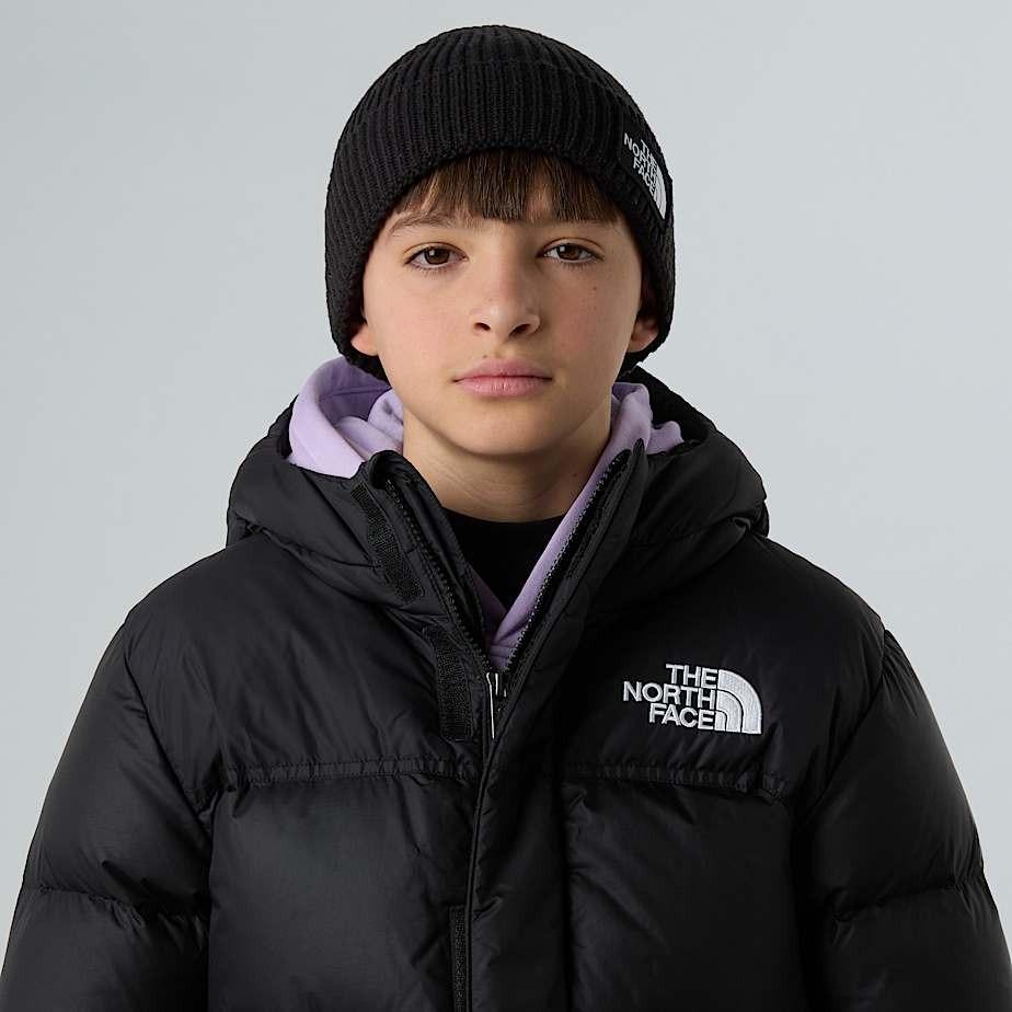 Kids Tnf Logo Box Cuffed Beanie NF0A8CGU JK31 THE NORTH FACE 