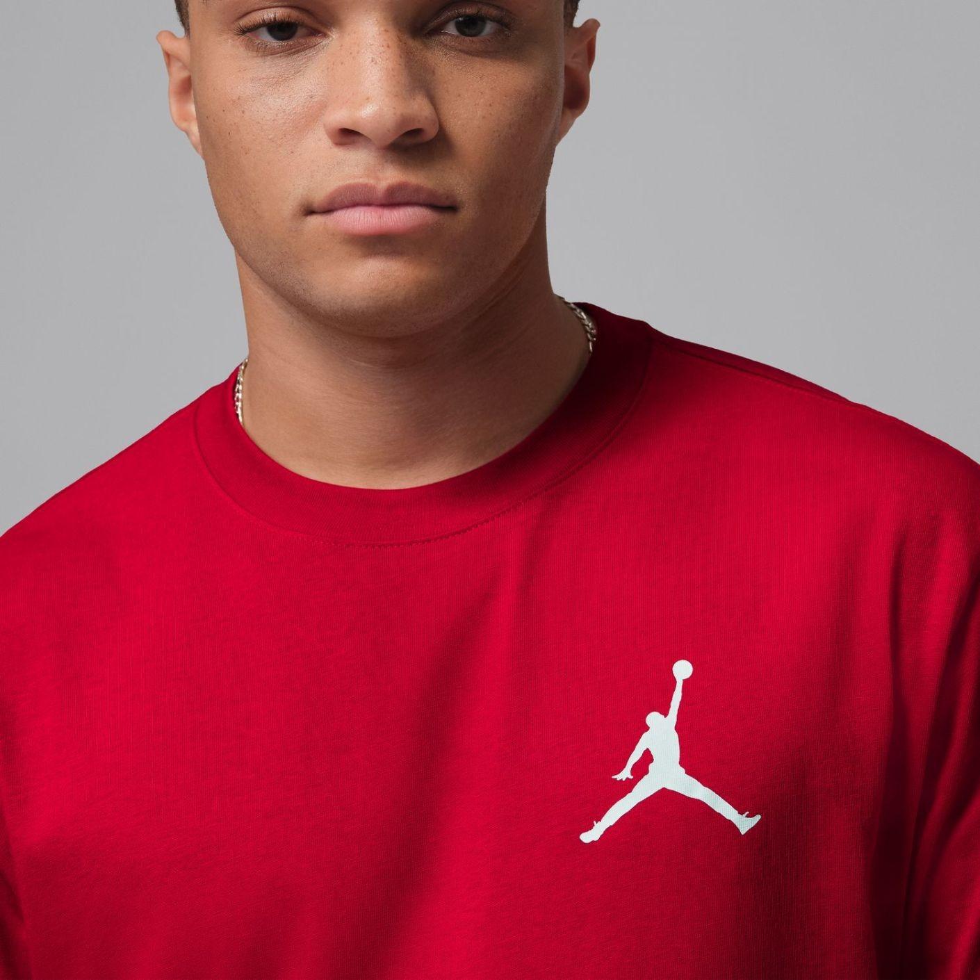 Nike Tee IR0342 687 JORDAN 