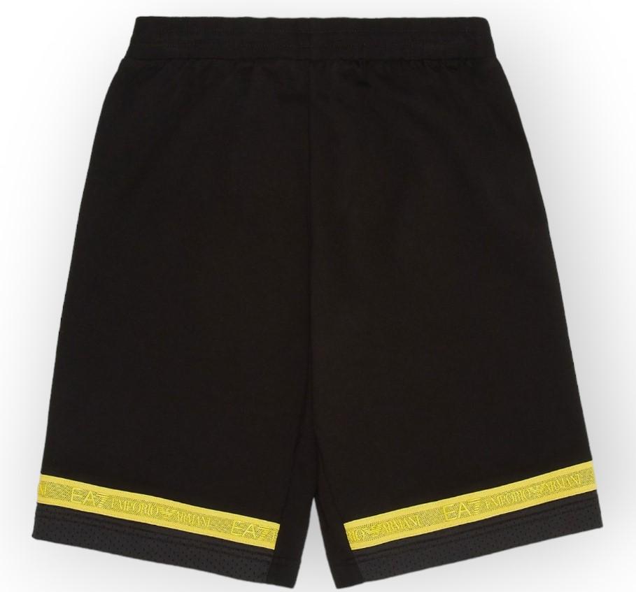 BERMUDA 3DBS56 1200 EA7 