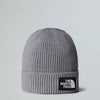 Tnf Logo box Cuffed Beanie