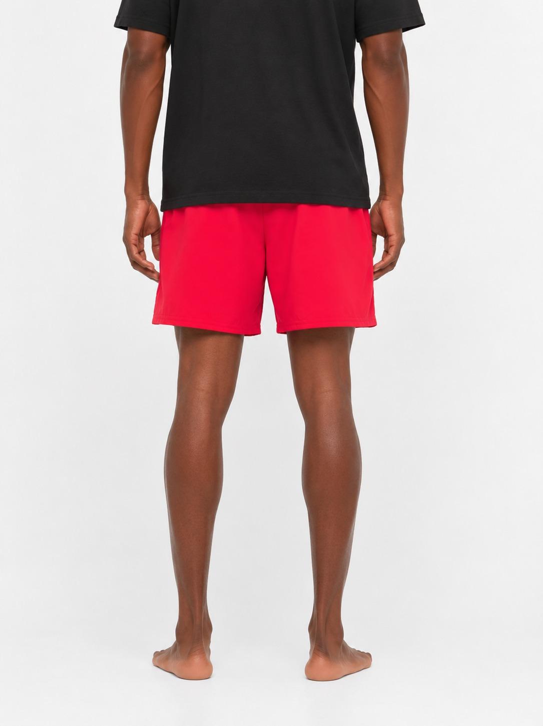 5 Volley Short NESSF560 614 NIKE 