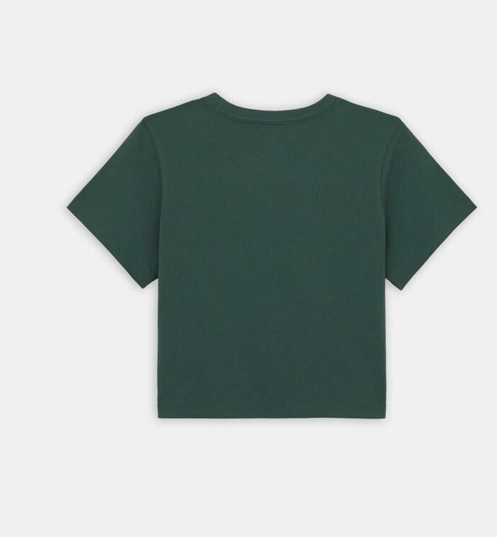 Aitkin Tee DK0A4YS8 H151 DICKIES 