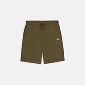 MAPLETON SHORT DK0A4Y83 MGR1 DICKIES 
