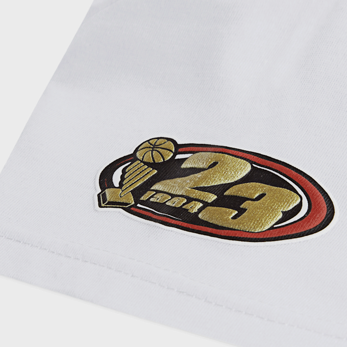 Jdb Jordan Play-Off Mesh Short 85D969 R78 JORDAN 