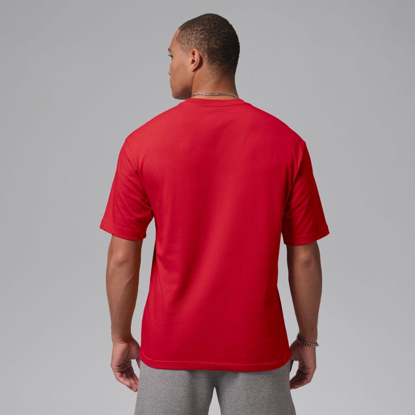 Nike Tee IR0342 687 JORDAN 
