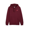 ESS 2 COLOR Logo Hoodie