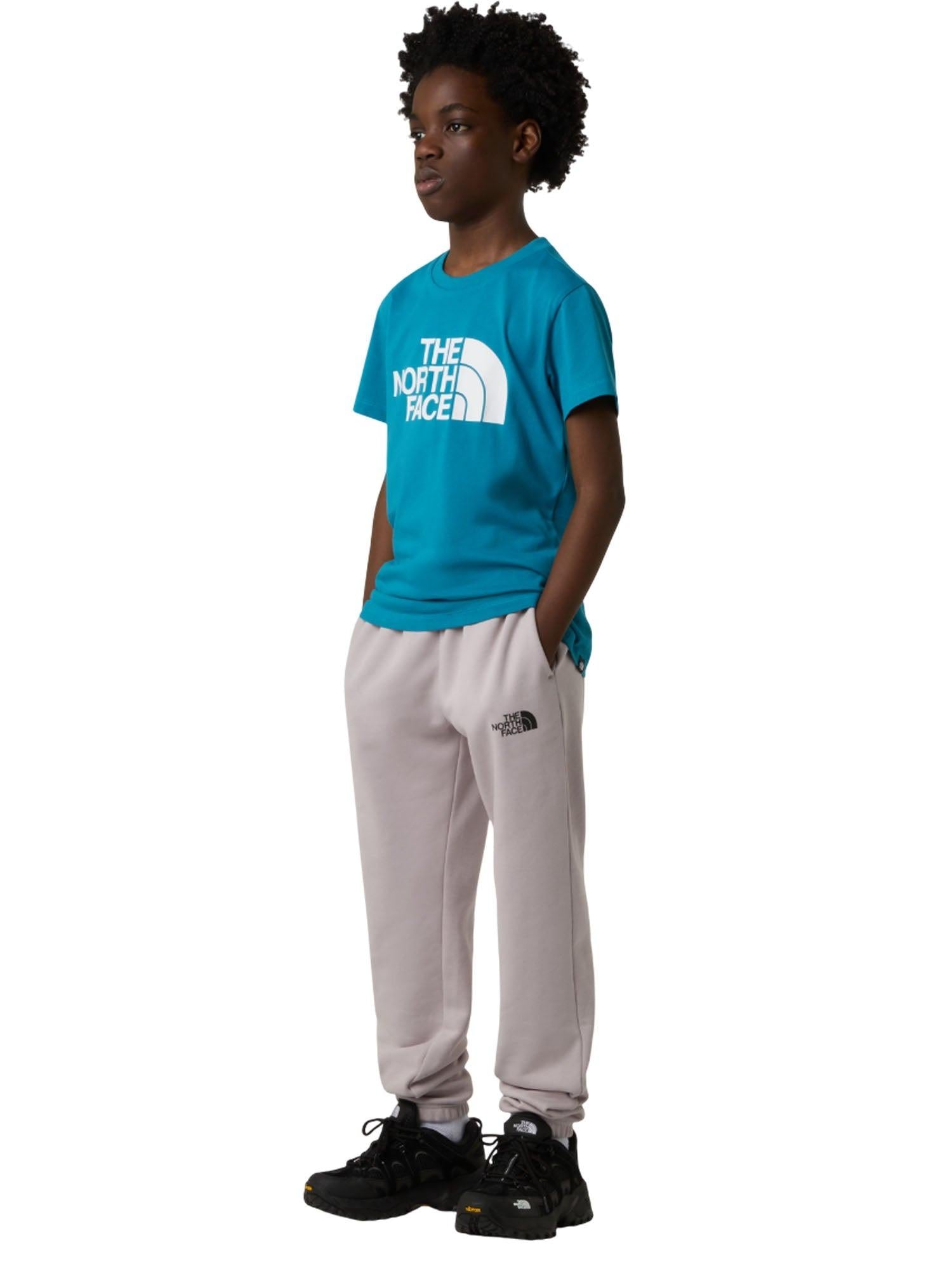 Easy tee NF0A8DRN 6HO1 THE NORTH FACE 