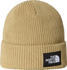 Salty Lined Beanie