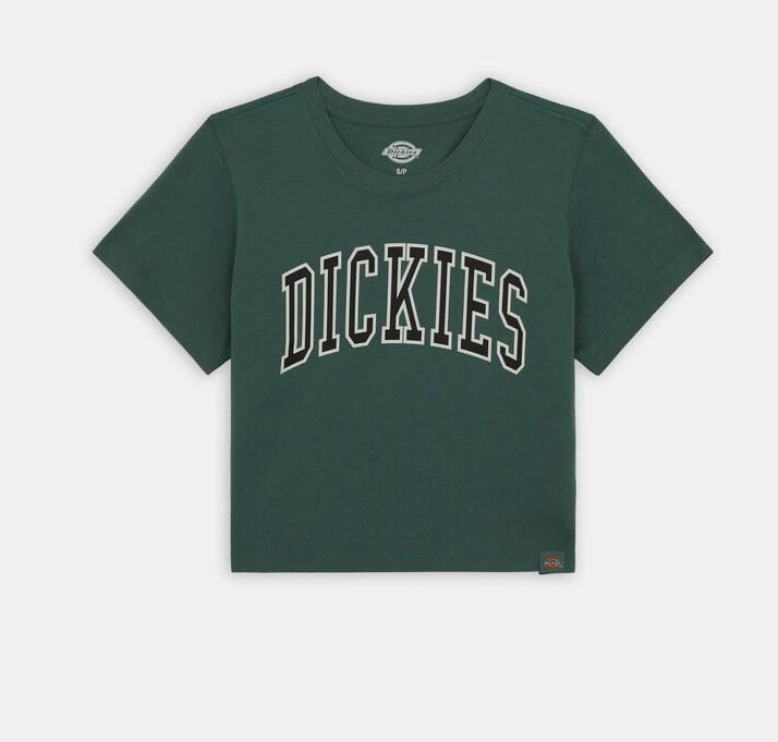 Aitkin Tee DK0A4YS8 H151 DICKIES 