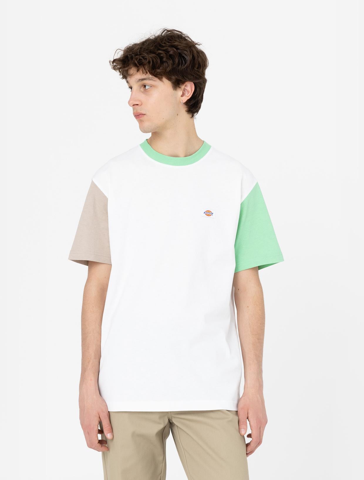 EDDYVILLE Tee DK0A4Y8S WHX1 DICKIES 