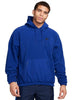 CLUB+ POLAR FLC PO HOODIE