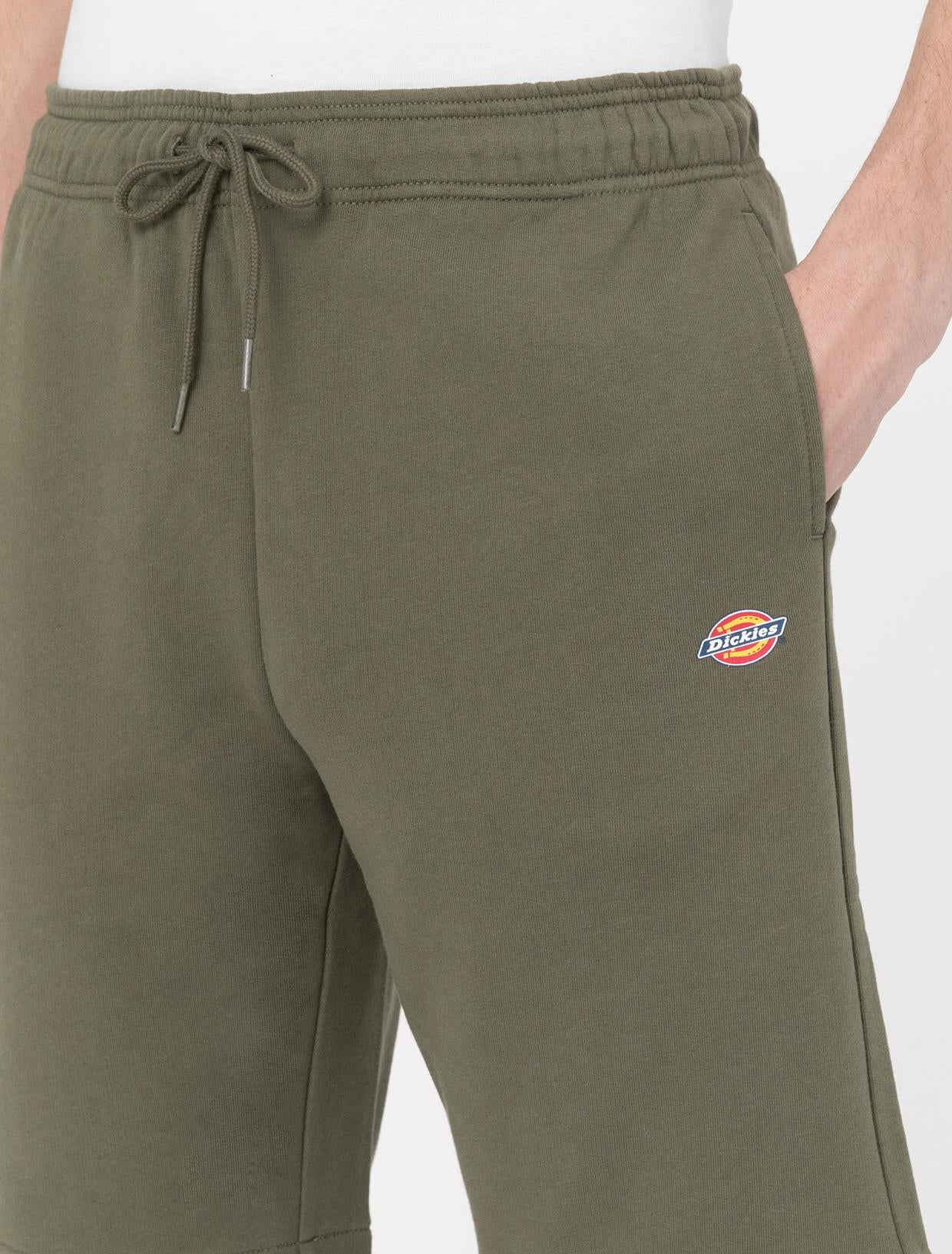 MAPLETON SHORT DK0A4Y83 MGR1 DICKIES 