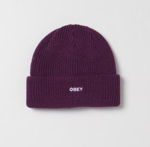 Future Beanie 100030163 WNE OBEY 