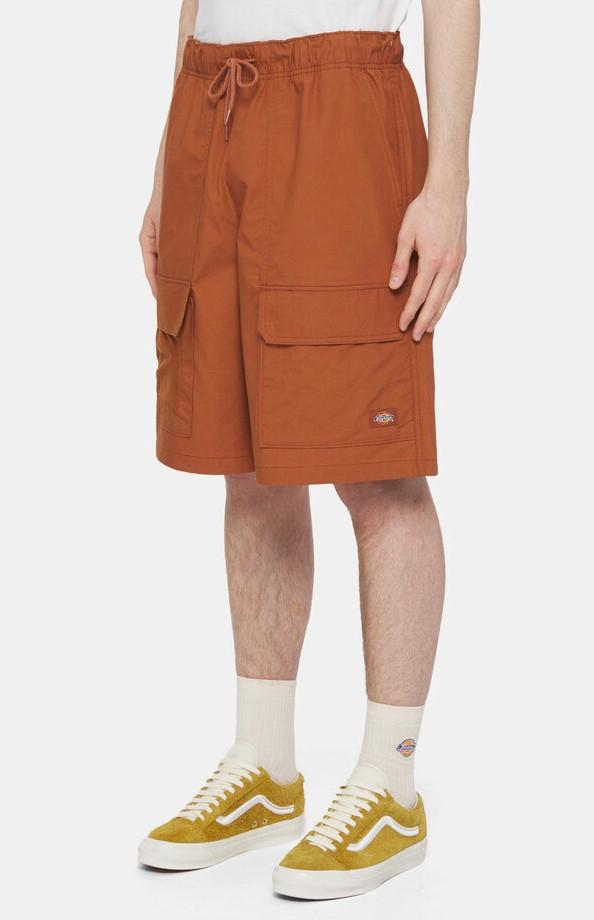 fisherville short DK0A4YSI H161 DICKIES 