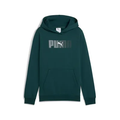 ESS LOGO LAB Hoodie FL B