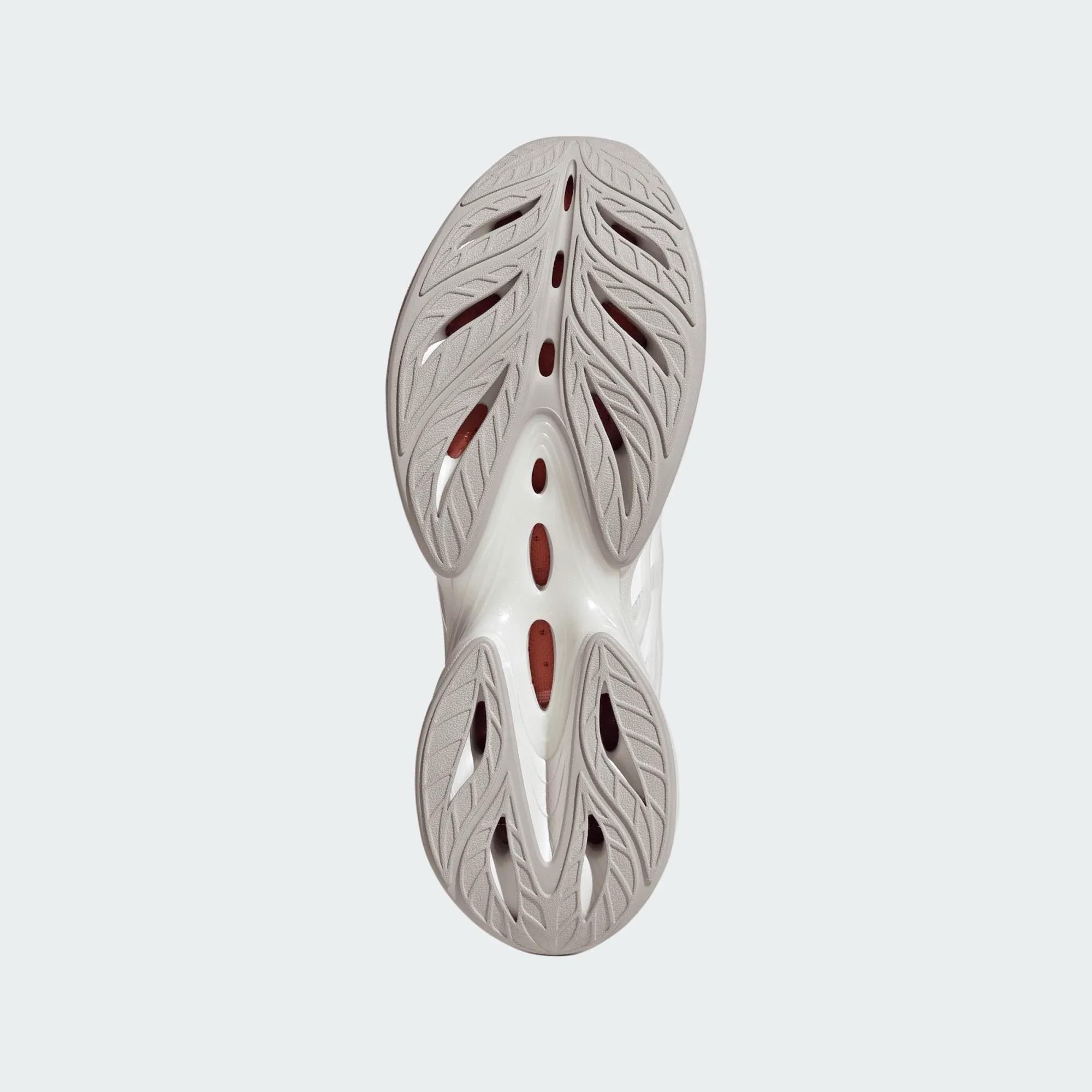 Climacool SPW HQ4985 UNI ADIDAS 