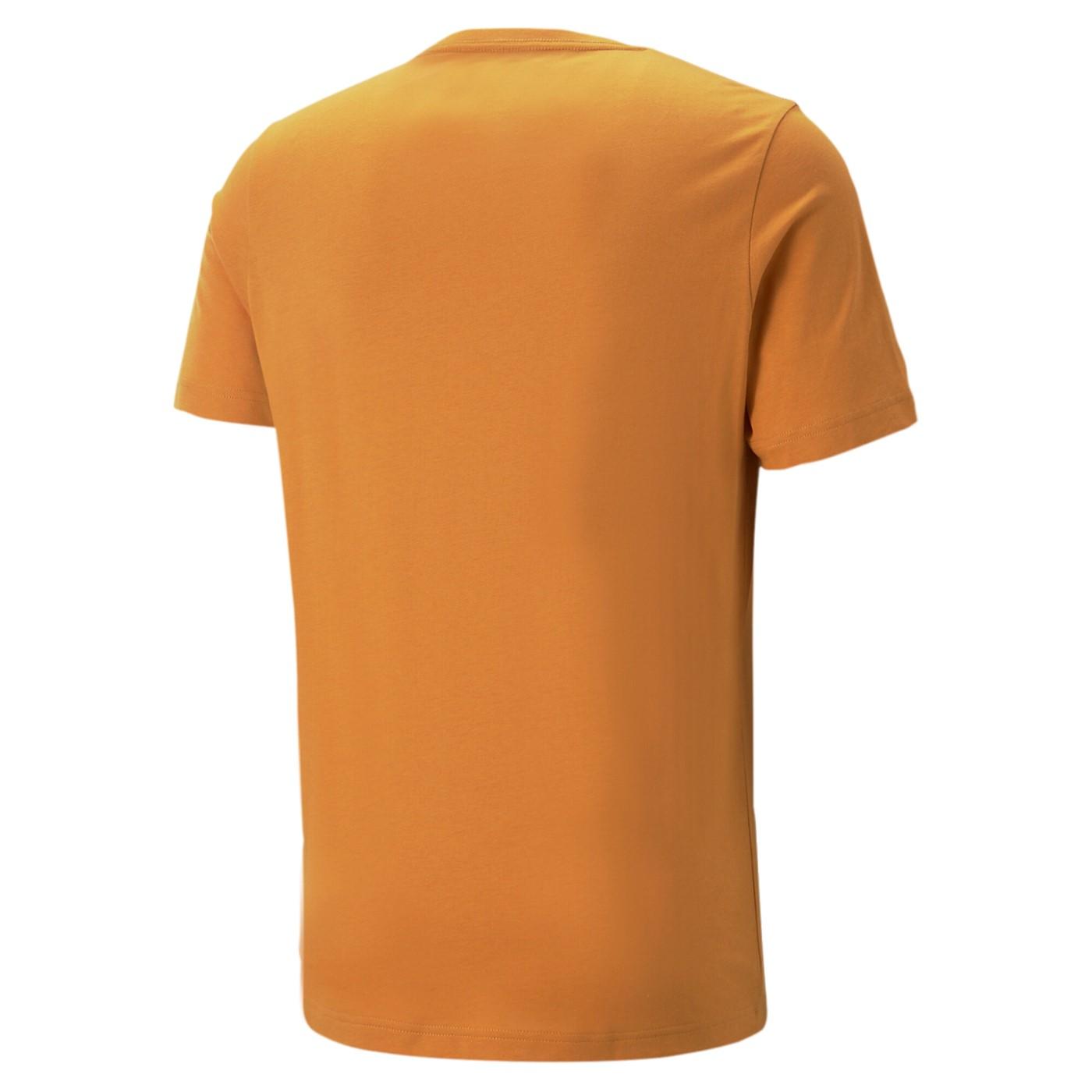 ESS Small Logo Tee 586669 27 PUMA 