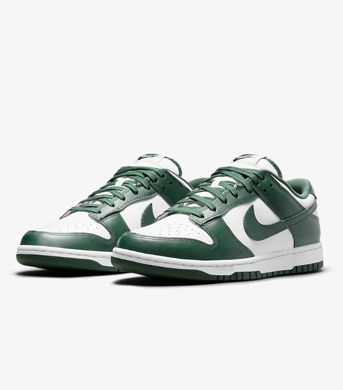 Dunk Low Retro DD1391 10 NIKE 