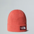 Tnf Logo box Cuffed Beanie