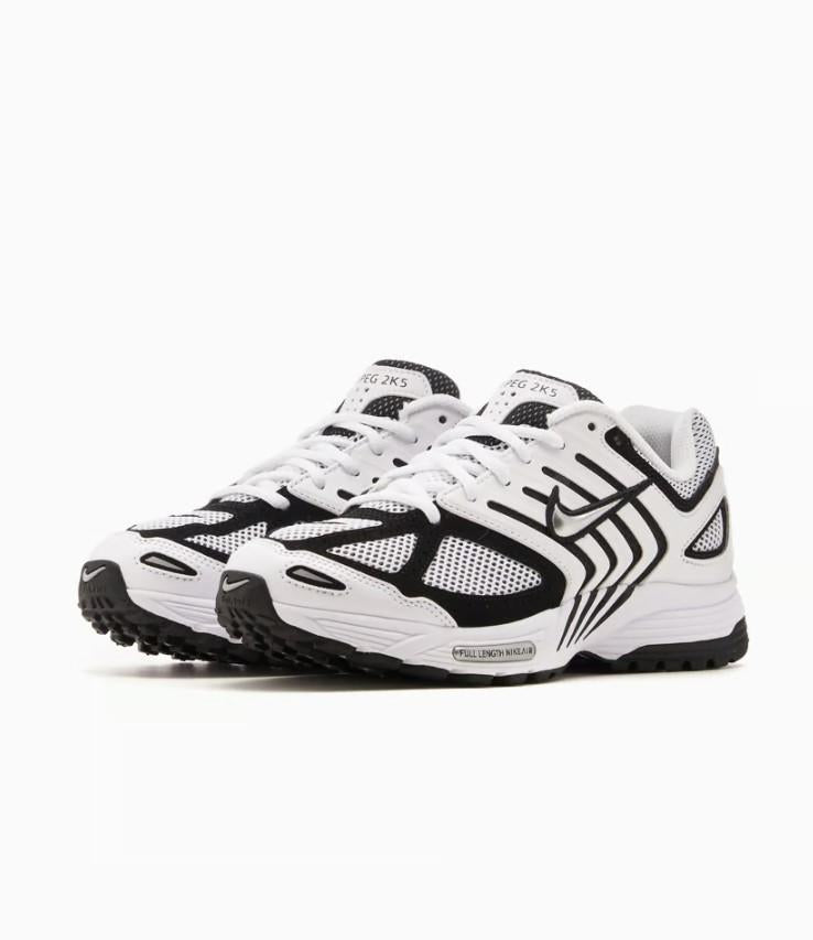 Air Pegasus 2005 FJ1909 100 NIKE 