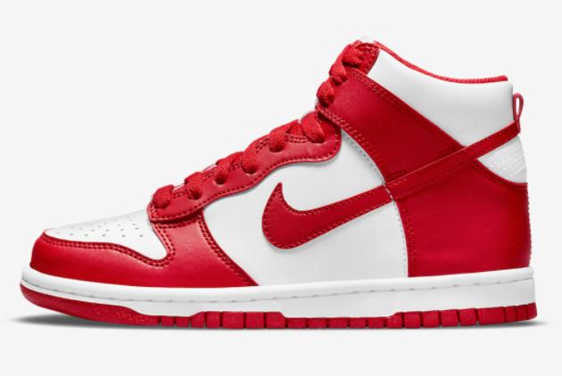 Dunk Hi DD1399 106 NIKE 