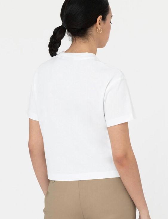 POWERS DK0A4Y8L WHX1 DICKIES 