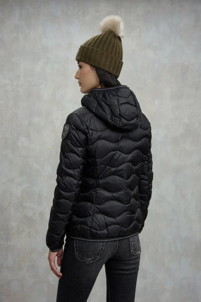Camelia W 25WBLDC03095 999EI BLAUER 
