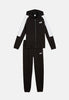 ESS BLOCK Hooded Full-Zip Sweat Suit FL B