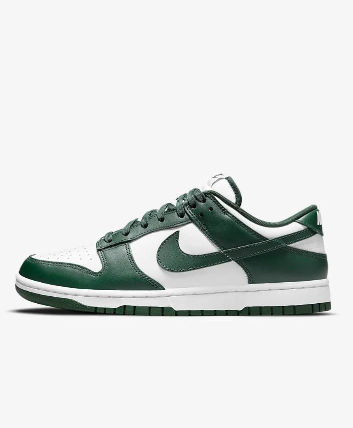 Dunk Low Retro DD1391 10 NIKE 