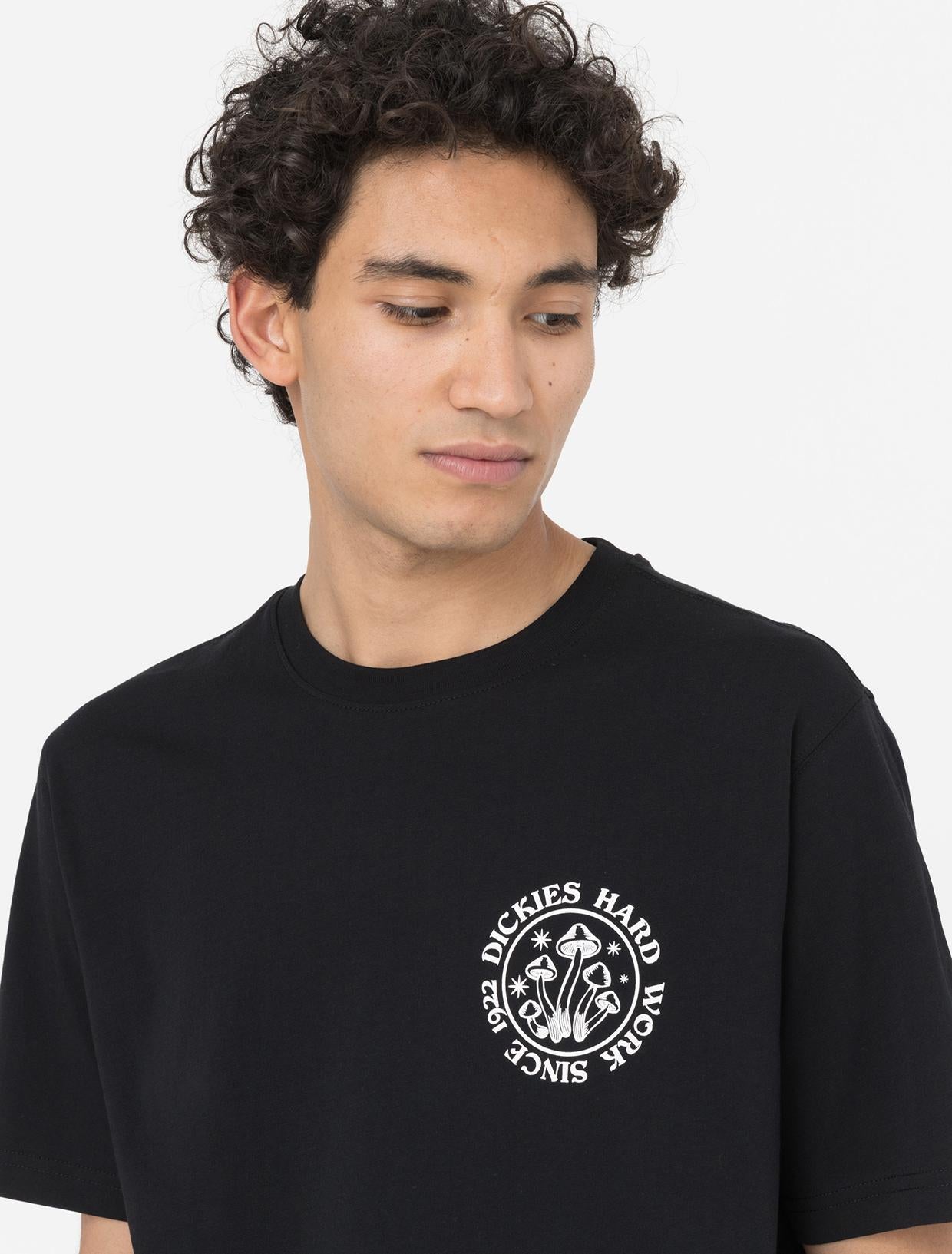 BAYSIDE GARDENS TEE DK0A4YBS BLK1 DICKIES 